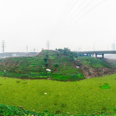 THEY ALL WENT TO THE BEACH